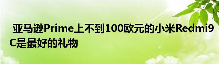 亚马逊小米欧元礼物不到是最好的Redmi9CPrime