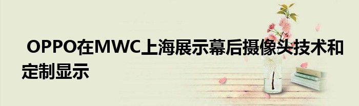 上海幕后摄像头定制展示显示技术OPPOMWC