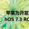  苹果为开发人员发布了iOS 14.4 RC和watchOS 7.3 RC