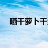 晒干萝卜干丝（关于晒干萝卜干丝介绍）