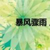 暴风骤雨 上（关于暴风骤雨 上介绍）
