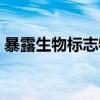 暴露生物标志物（关于暴露生物标志物介绍）