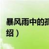 暴风雨中的孤儿们（关于暴风雨中的孤儿们介绍）