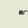 曲广曌（关于曲广曌介绍）