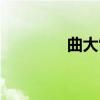 曲大雷（关于曲大雷介绍）