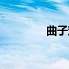 曲子戏（关于曲子戏介绍）