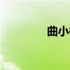 曲小枫（关于曲小枫介绍）