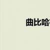曲比哈布（关于曲比哈布介绍）