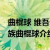 曲棍球 维吾尔族曲棍球（关于曲棍球 维吾尔族曲棍球介绍）