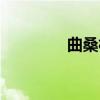 曲桑村（关于曲桑村介绍）