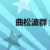 曲松波群 组（关于曲松波群 组介绍）