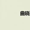 曲晓璐（关于曲晓璐介绍）