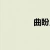 曲盼儿（关于曲盼儿介绍）