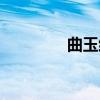 曲玉维（关于曲玉维介绍）
