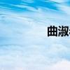 曲淑岩（关于曲淑岩介绍）