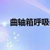 曲轴箱呼吸器（关于曲轴箱呼吸器介绍）
