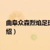 曲阜众森烈焰足球俱乐部（关于曲阜众森烈焰足球俱乐部介绍）