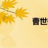 曹世雄（关于曹世雄介绍）