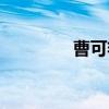 曹可艳（关于曹可艳介绍）