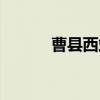 曹县西站（关于曹县西站介绍）