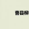 曹县柳编（关于曹县柳编介绍）