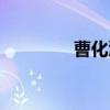 曹化淳（关于曹化淳介绍）