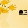 曹卫东（关于曹卫东介绍）