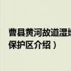 曹县黄河故道湿地自然保护区（关于曹县黄河故道湿地自然保护区介绍）