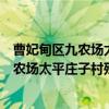 曹妃甸区九农场太平庄子村残协服务小队（关于曹妃甸区九农场太平庄子村残协服务小队介绍）