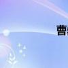 曹巍（关于曹巍介绍）