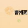曹州面塑（关于曹州面塑介绍）