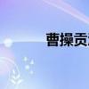 曹操贡酒（关于曹操贡酒介绍）