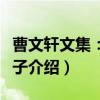 曹文轩文集：草房子（关于曹文轩文集：草房子介绍）