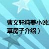 曹文轩纯美小说系列：草房子（关于曹文轩纯美小说系列：草房子介绍）