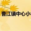 曹江镇中心小学（关于曹江镇中心小学介绍）