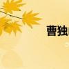 曹独山（关于曹独山介绍）