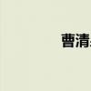曹清泉（关于曹清泉介绍）