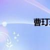曹玎玎（关于曹玎玎介绍）