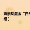 曹素功漱金“白岳图”墨（关于曹素功漱金“白岳图”墨介绍）