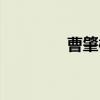曹肇棆（关于曹肇棆介绍）