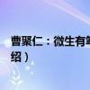 曹聚仁：微生有笔月如刀（关于曹聚仁：微生有笔月如刀介绍）