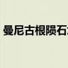 曼尼古根陨石坑（关于曼尼古根陨石坑介绍）