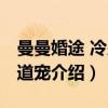 曼曼婚途 冷少霸道宠（关于曼曼婚途 冷少霸道宠介绍）