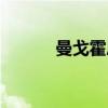 曼戈霍恩（关于曼戈霍恩介绍）