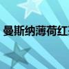 曼斯纳薄荷红茶（关于曼斯纳薄荷红茶介绍）