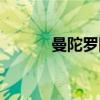 曼陀罗国（关于曼陀罗国介绍）