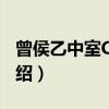 曾侯乙中室C90鼎（关于曾侯乙中室C90鼎介绍）