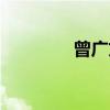 曾广文（关于曾广文介绍）
