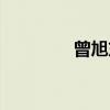 曾旭东（关于曾旭东介绍）