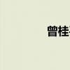 曾桂平（关于曾桂平介绍）